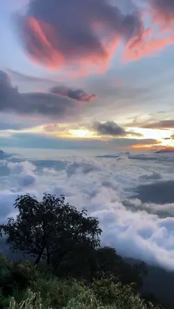 view alam estetik
