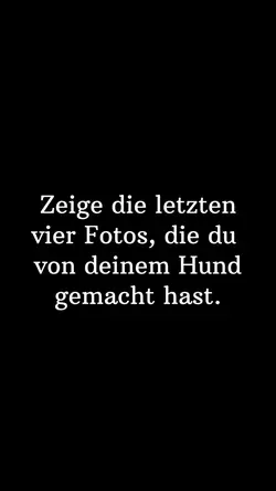 Letzte 4 Hunde Fotos