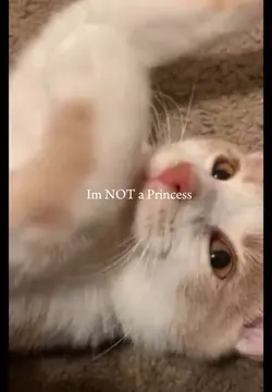 I’m not a princess