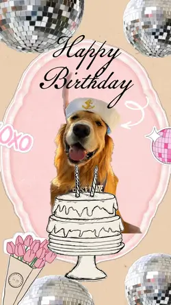 Birthday my dog