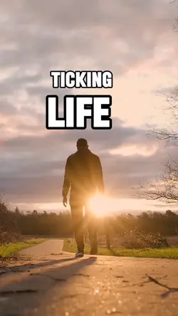 The Perfect  Moment 