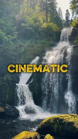 5 Video or Photo