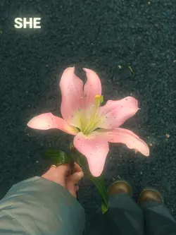 wildflower - billie
