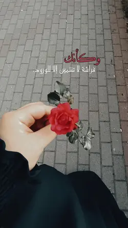 tik tok elmas_2020
