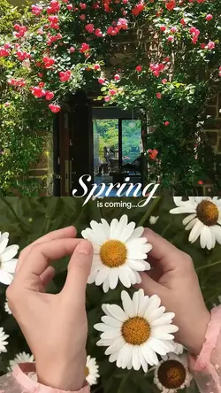 Spring is coming