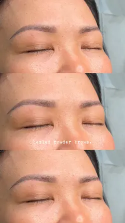 1 clip healed brows