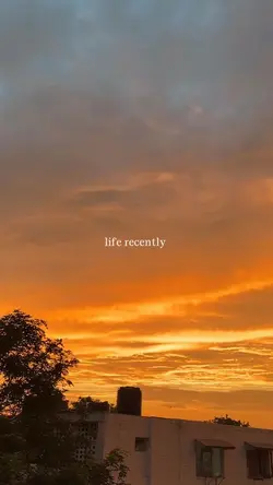 life recently 
