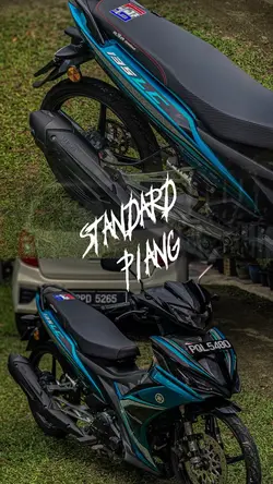 standard piangg