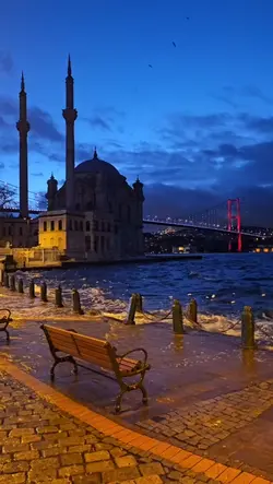 acılı fon