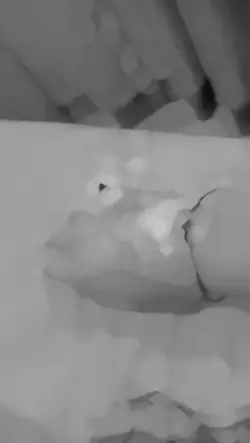 tra nam Dil rhk Diya