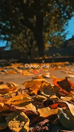 Outono vibe 