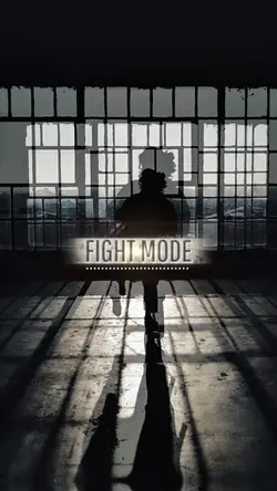 Fighter
