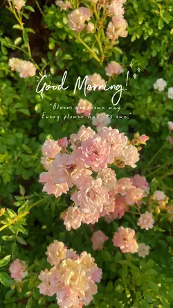 good morning spring