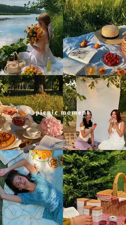 Picnic Moment 