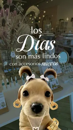 Accesorios nuevos 