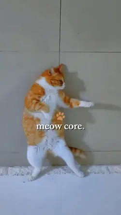 Cat Core