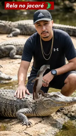 olha o jacaré 