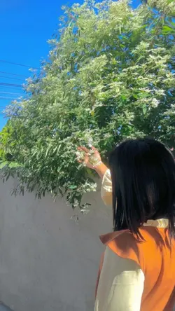 Ka Pa Khup