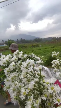 ziarah makam