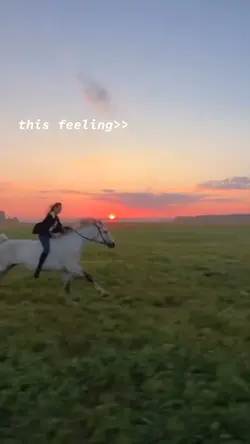 Run🎀