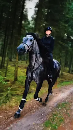 Insane horse 😍😍