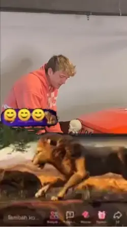 TikTok live gift