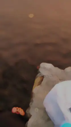 O Caminho é pra quem
