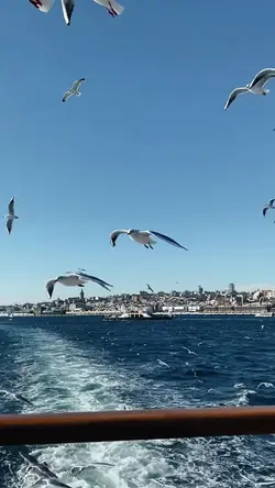 Vlog 19clip 