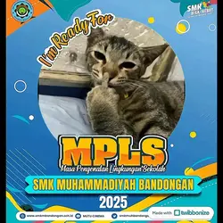 MPLS BANDONGAN TREND