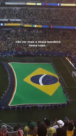 Doi ne? … 🇧🇷💔