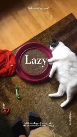 Lazy