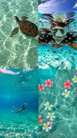 Summer so Far