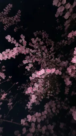 song 