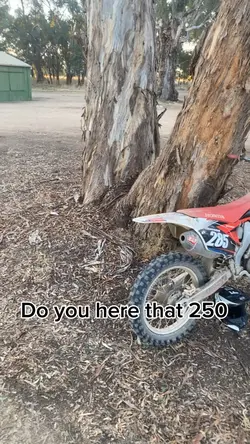 450 in the woods