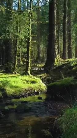 nature
