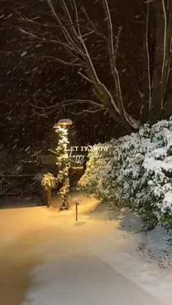 happy snow