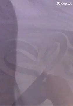 그림자 손 댄스
