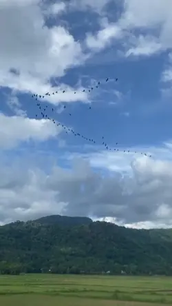 cinta sejati 