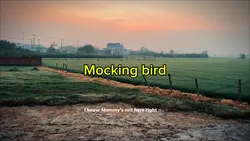 Mocking bird