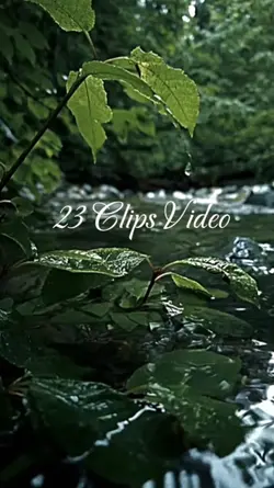 23 Clips Video 