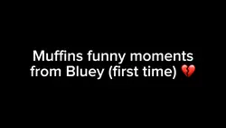 Muffin || Bluey 😭😭