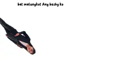 Ang random