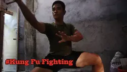 kung fu figthing