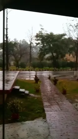 It's Raining 