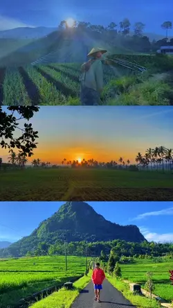 3 Video Grid Estetik