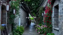 a quiet life