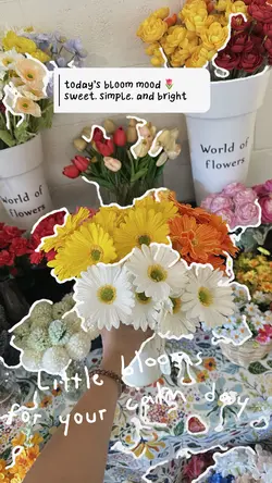 Colorful Bloom