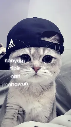 Senyum tipis nan men