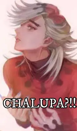A CHALUPA?!