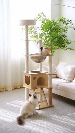 Pet Supplies